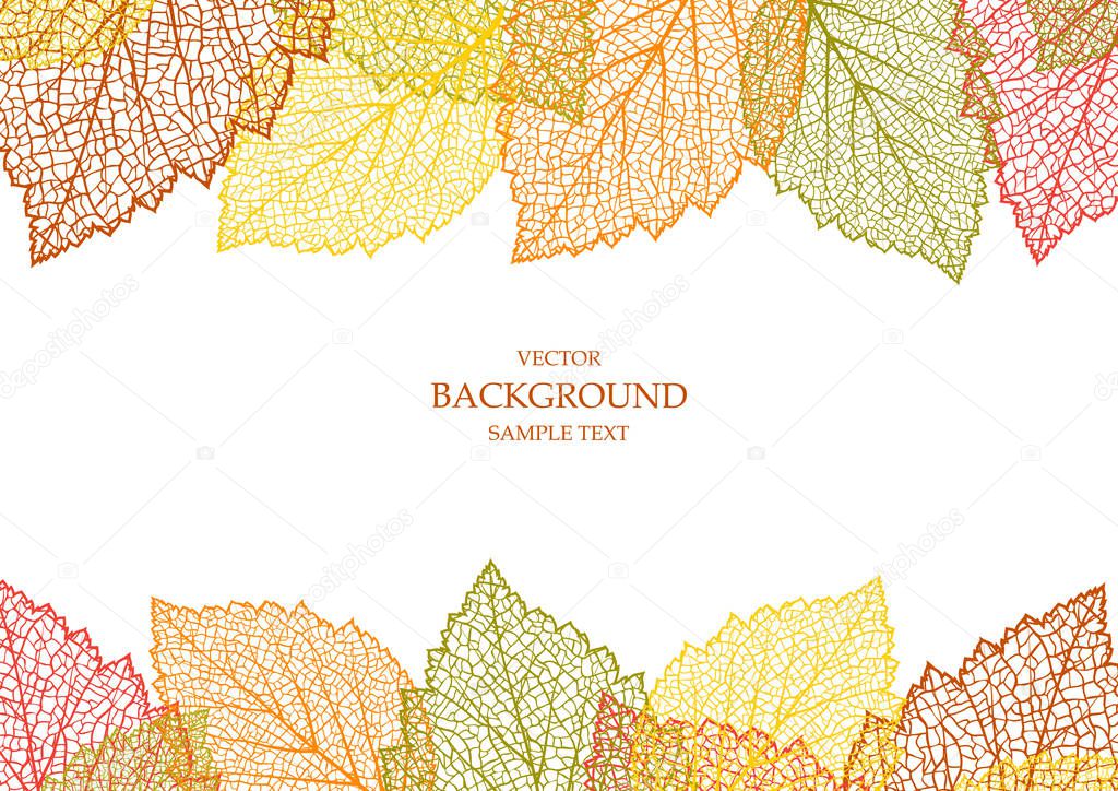 Autumn background with  texture leaves. Botanic Card.  Template. Frame. Nature invitation design with herbs