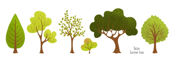 Árboles Verano Arbusto Hierba Conjunto Plantas Verdes Elementos Para Diseño — Vector de stock