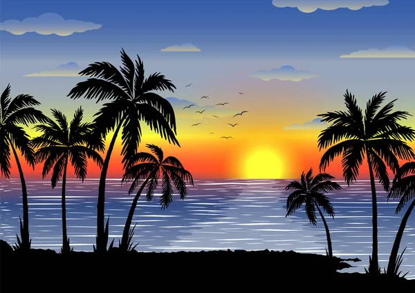 Paysage Tropical Exotique Palmiers Coucher Soleil Clair Lune Paysage Marin — Image vectorielle