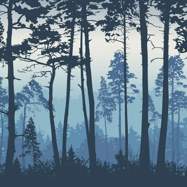 Orman manzarası geçmişi. Şafakta ağaçlar çam ağacı. Doğa. Turizm ve seyahat. Kozalaklı orman, vektör silueti.