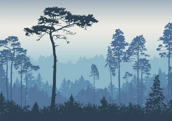 Ιστορικό Φυτά Επαρχιακό Τοπίο Δέντρα Δάσος Διάνυσμα Φυσικό Πανό Αφίσα — Διανυσματικό Αρχείο