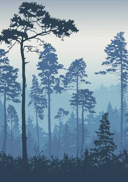 Ιστορικό Φυτά Επαρχιακό Τοπίο Δέντρα Δάσος Διάνυσμα Φυσικό Πανό Αφίσα — Διανυσματικό Αρχείο