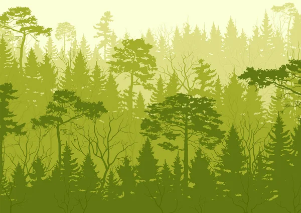 Fondo Con Paisaje Madera Bosque Verano Turismo Viajes Banner Natural — Vector de stock