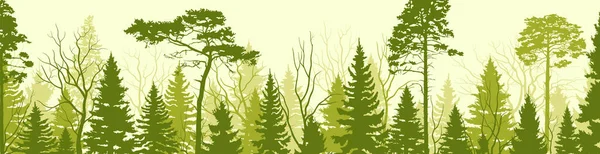 Сельский Пейзаж Летний Лес Природное Знамя Зелеными Деревьями Растениями Туризм — стоковый вектор