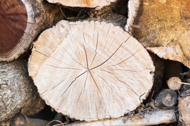 malzeme doku arka plan ahşap günlükleri