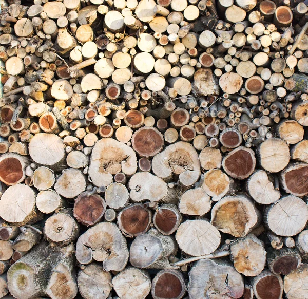 many trees logs tree