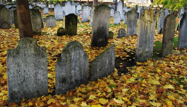 Осеннее древнее кладбище с оранжевыми листьями и зеленой травой в Англии — стоковое фото