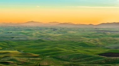 Washington, ABD 'deki Palouse bölgesindeki güzel ekin tarlaları