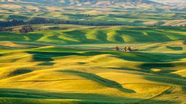 Sabahları Washington, ABD 'deki Palouse bölgesindeki güzel tarlalarda kırmızı ahır.