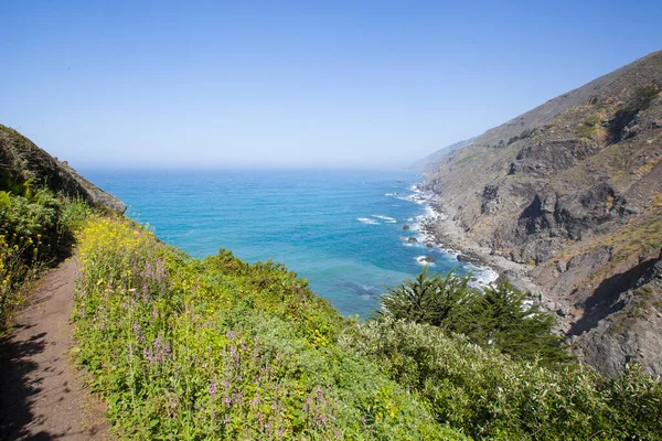 Californische Kustlijn Zomer Big Sur Verenigde Staten — Stockfoto