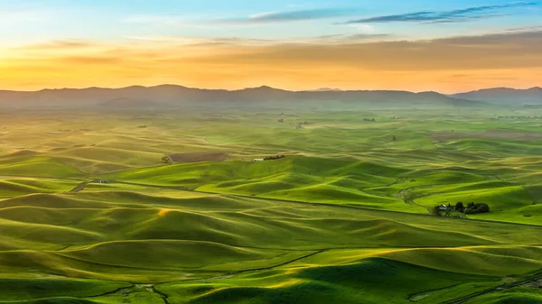 Sabah ABD 'nin doğu Washington' daki Palouse bölgesindeki güzel ekin tarlaları