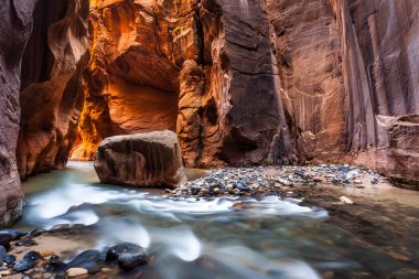 Wall Street in the Narrows, Zion Ulusal Parkı, Utah