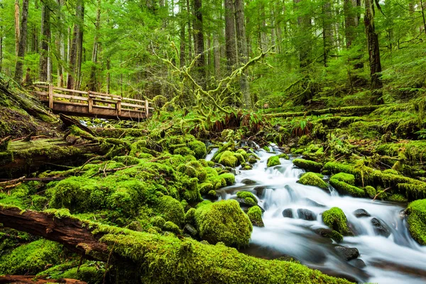 Belle Cascade Cascade Dans Sol Duc Falls Trail Parc National — Photo