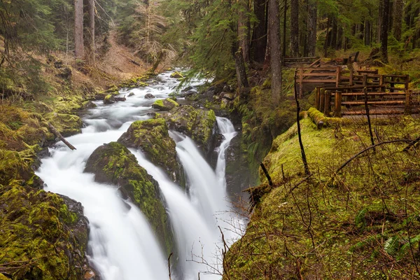 Sol Duc Falls Olympic National Park — Stock Photo, Image