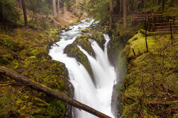 Sol Duc düştü, Olimpiyat ulusal parkı, WA US