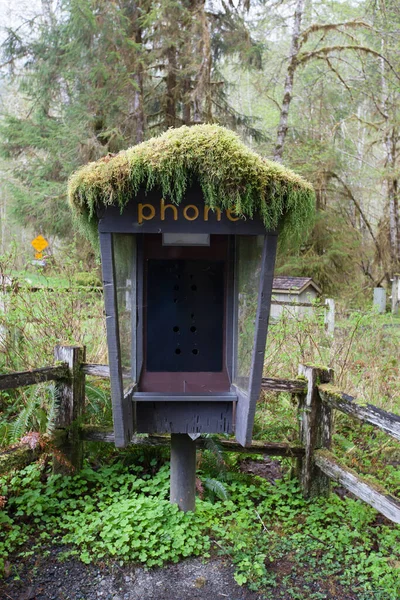 Cabine Téléphonique Traditionnelle Dans Parc National Olympique Washington États Unis — Photo