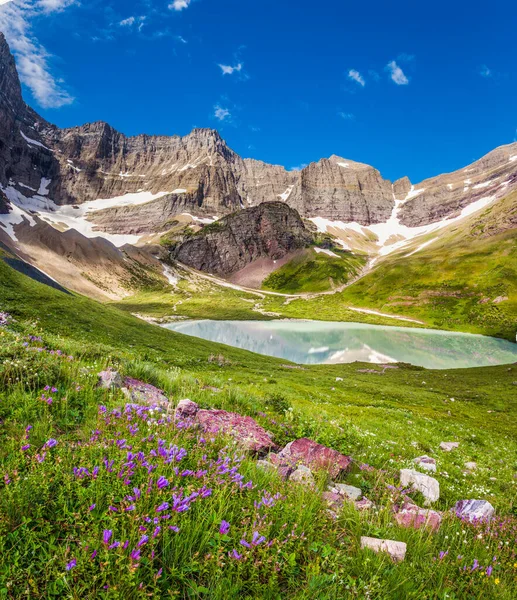 Lac Cracker Lys Sauvages Dans Parc National Des Glaciers Montana — Photo