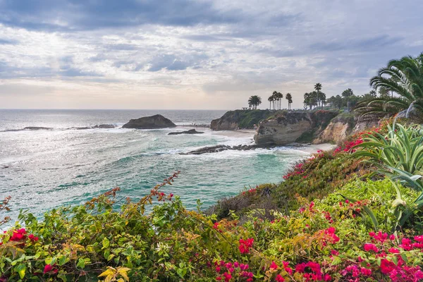 Laguna Beach, California 'da güzel bir park.