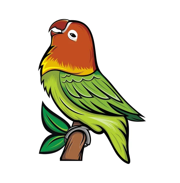 Lovebird Design Vector Logo Illustration Image Suitable Your Logo Illustration — Stock Photo, Image