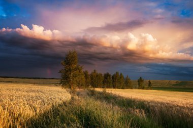 Akşamları sıcak renkler