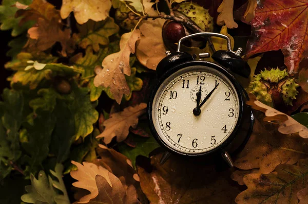 Horloge antique se trouvent sur le fond des feuilles d'automne — Photo
