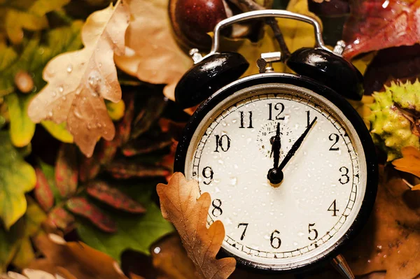 Antique clock lie on the background of autumn leaves Stock Picture