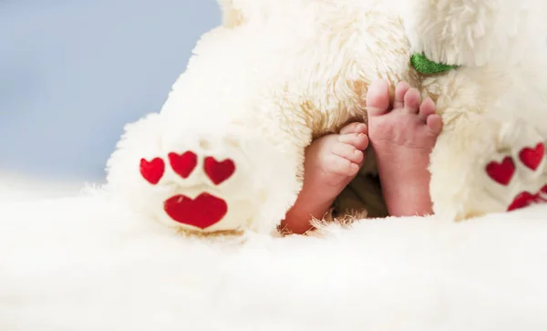 Pequenas Pernas Macias Bebê Juntamente Com Patas Urso Pelúcia Com — Fotografia de Stock