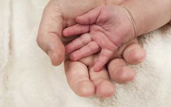 Любящая Мама Держит Нежные Руки Ребенка Белом Фоне — стоковое фото