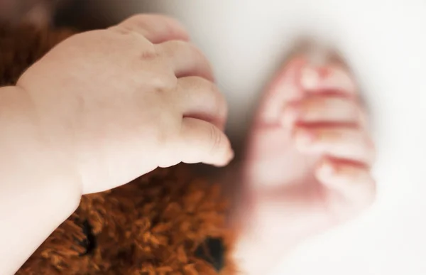 Mãos Dormindo Bebê Recém Nascido Close Isolado Fundo Branco — Fotografia de Stock