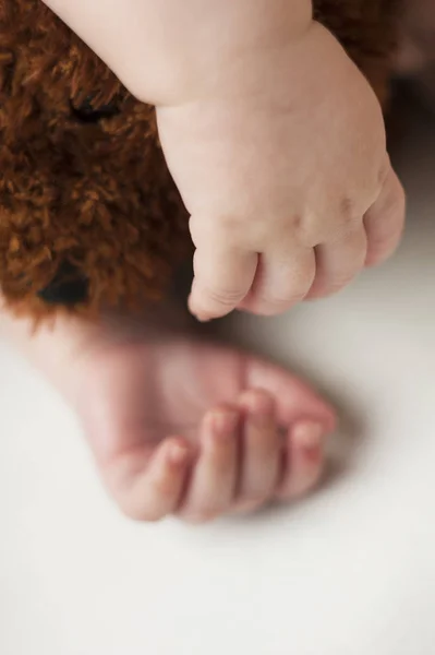 Mãos Dormindo Bebê Recém Nascido Close Isolado Fundo Branco — Fotografia de Stock