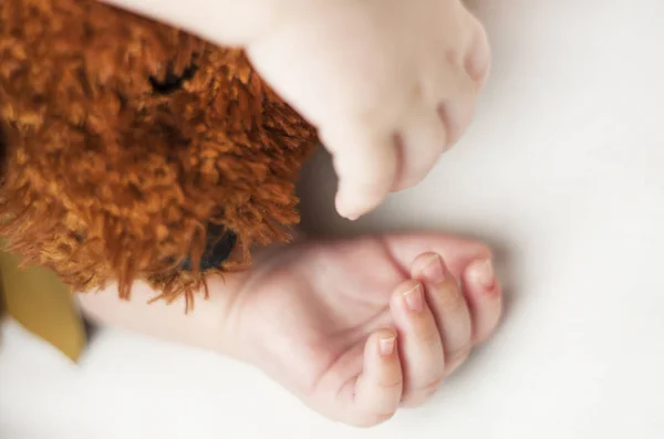 Χέρια Στον Ύπνο Νεογέννητο Μωρό Κοντινό Απομονωθεί Λευκό Φόντο — Φωτογραφία Αρχείου