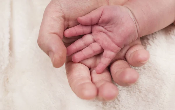 爱的妈妈握着婴儿温柔的双手 — 图库照片