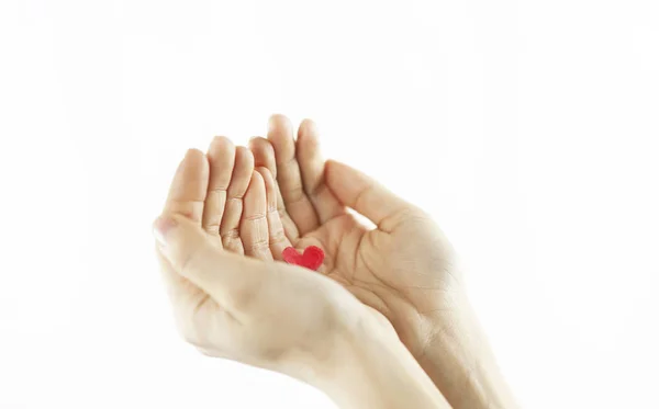 Bir Beyaz Izole Arka Plan Üzerinde Kırmızı Bir Kalp Tutan — Stok fotoğraf