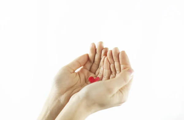 Bir Beyaz Izole Arka Plan Üzerinde Kırmızı Bir Kalp Tutan — Stok fotoğraf
