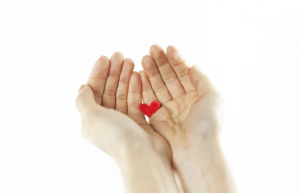 Manos Una Niña Sosteniendo Corazón Rojo Sobre Fondo Blanco Aislado — Foto de Stock