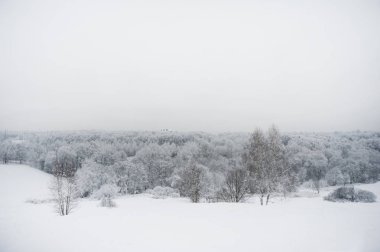 Manzara inanılmaz güzel kar orman ve kar ağaçların çok