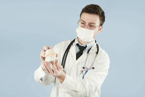 Joven Dentista Masculino Sosteniendo Modelo Mandíbula Dental Aislado Sobre Fondo —  Fotos de Stock