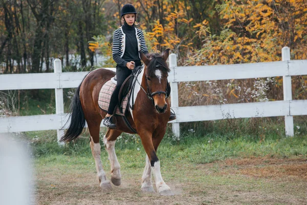 十代の少女乗馬馬アウトドア — ストック写真