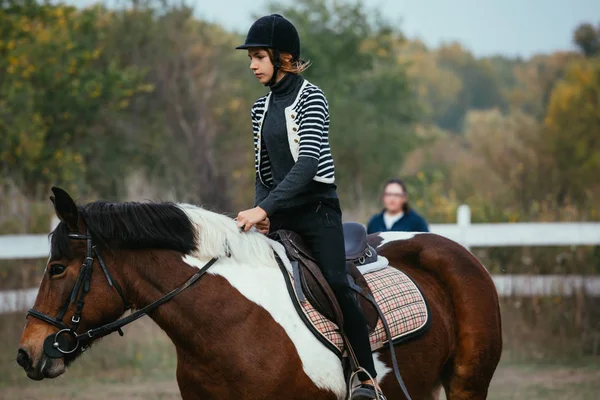 十代の少女乗馬馬アウトドア — ストック写真