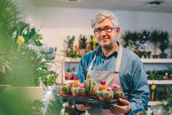 Mature man florist holding decorative cactuses