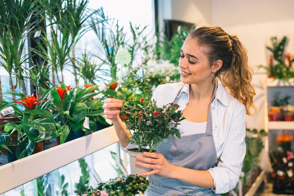 Woman arranging flowers in flower shop