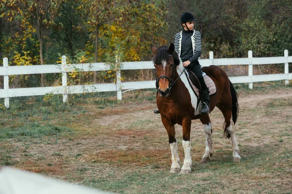 十代の少女乗馬馬アウトドア — ストック写真