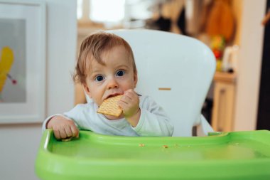 sandalyesinde otururken bisküvi yiyen küçük sevimli bebek
