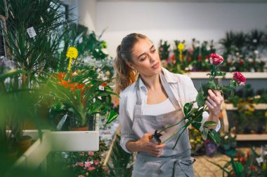 Çiçekçi kadın elinde gül sapları ve mezhepçilerle.