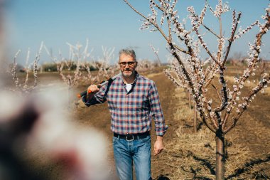 Dev Bahçevan makaslar tutan bahçesinde yürüyen adam ön görünümü