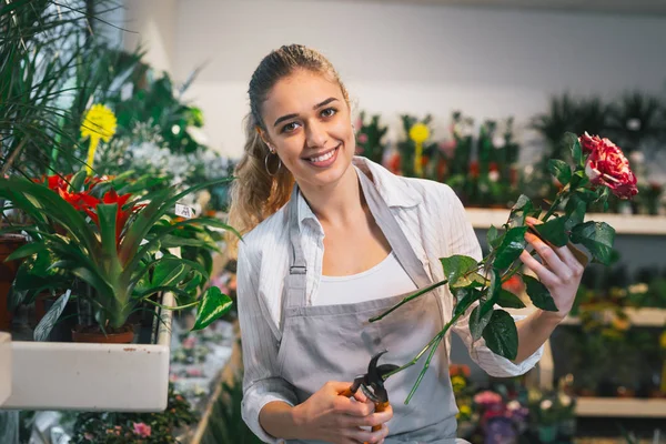 Woman florist holding roses cut stems with secateurs