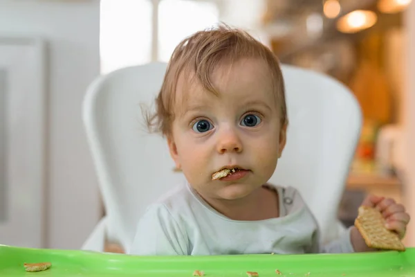 Pouco Bonito Bebê Comer Biscoitos — Fotografia de Stock