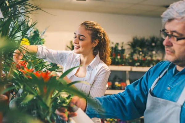 Employees, man and woman working in flower shop together.