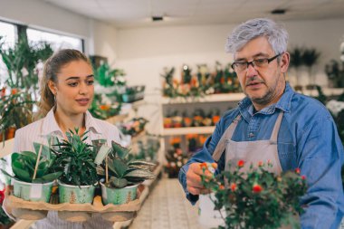 Modern çiçekçi dükkanında birlikte çalışan gülümseyen çiçekçiler