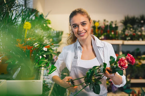 Woman florist holding roses cut stems with secateurs